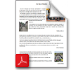 pdf